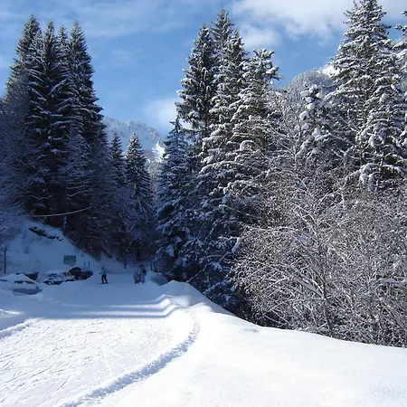 Ermena Saint-Jean-d'Aulps